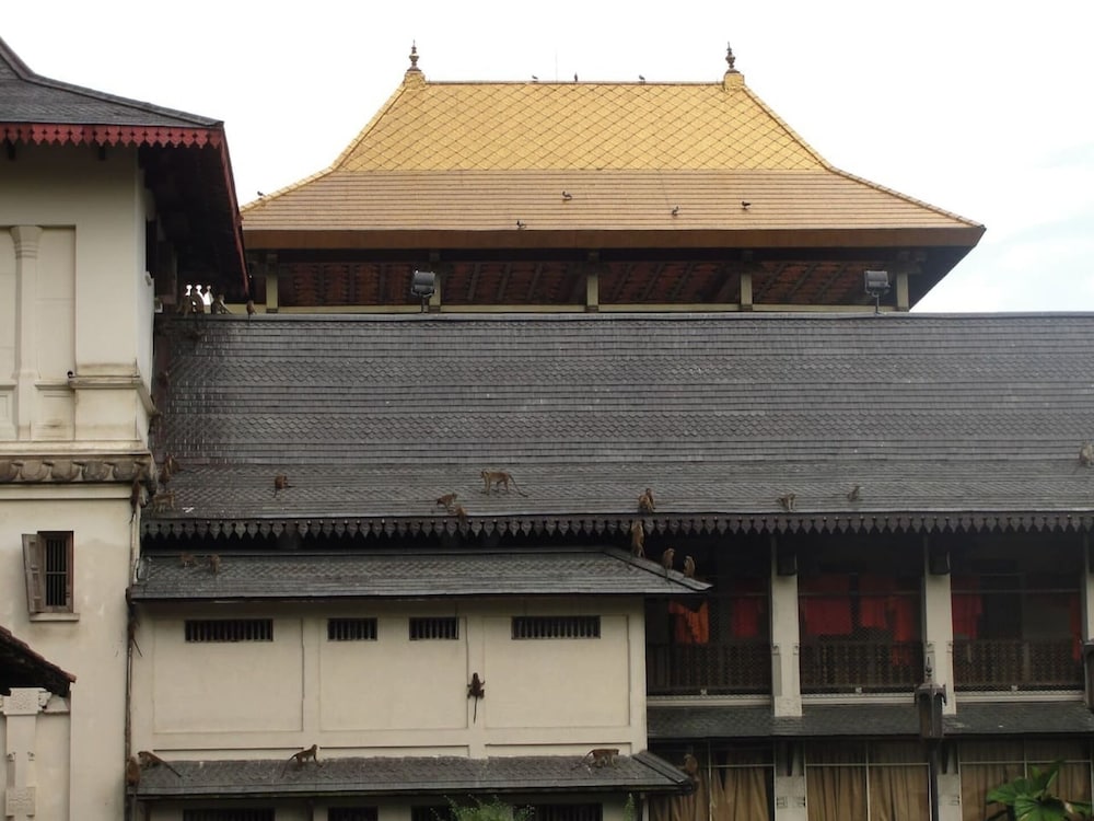 Photo 42
