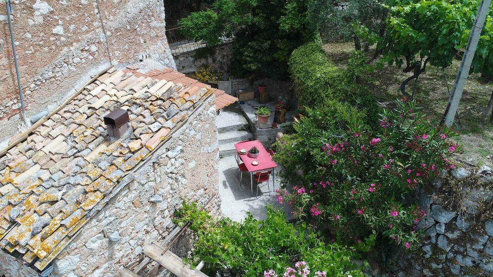 Photo 44