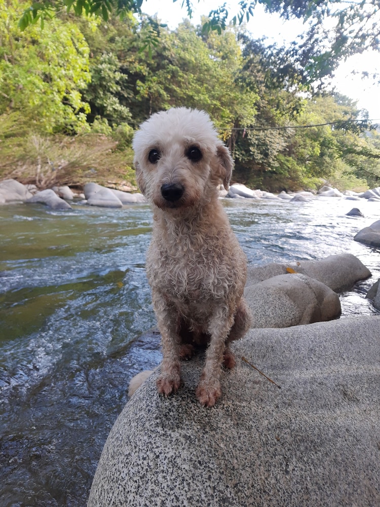 Santa Marta