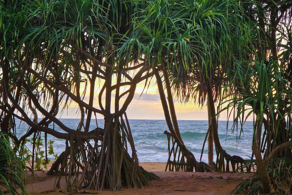 Colours Beach