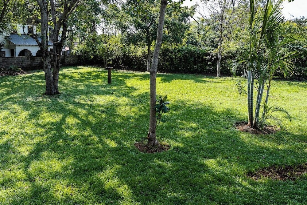 Harry's Kisumu Oasis