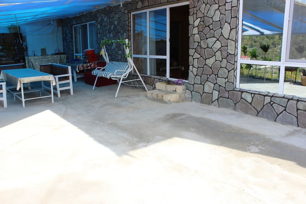Photo 19