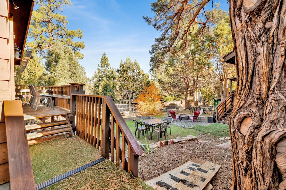 Entertainment Cabin #610