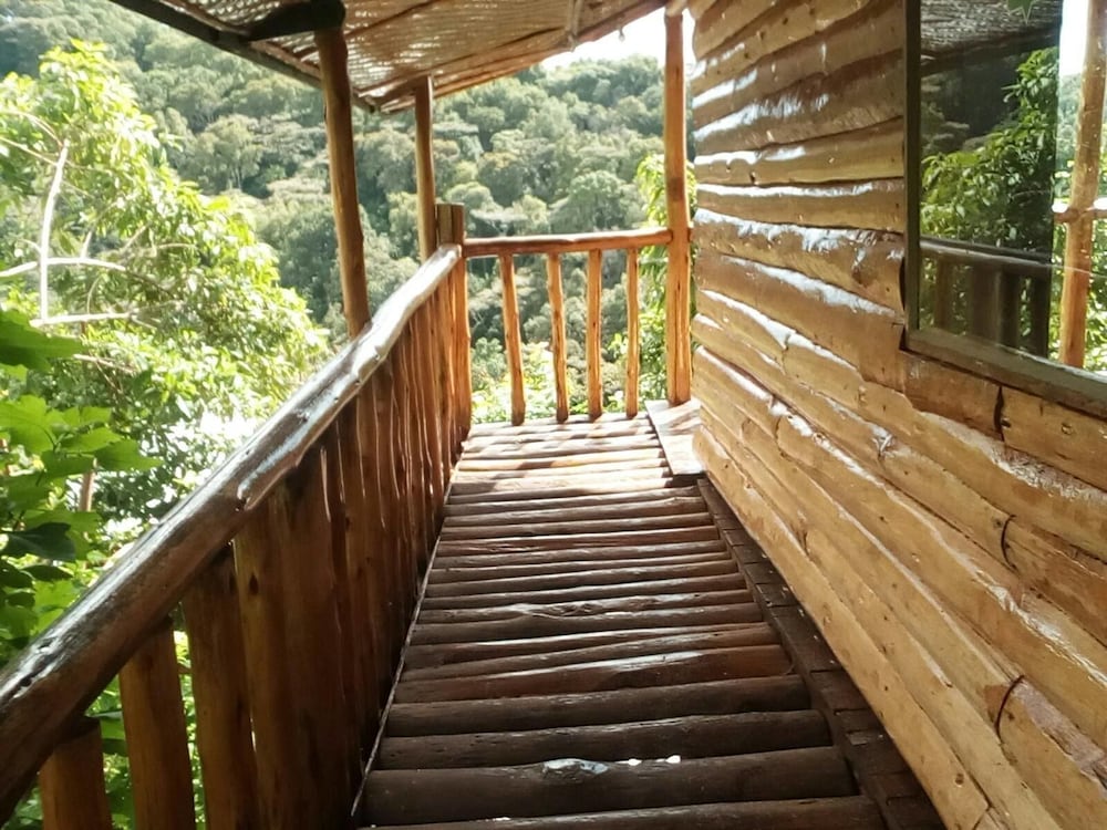 Photo 42