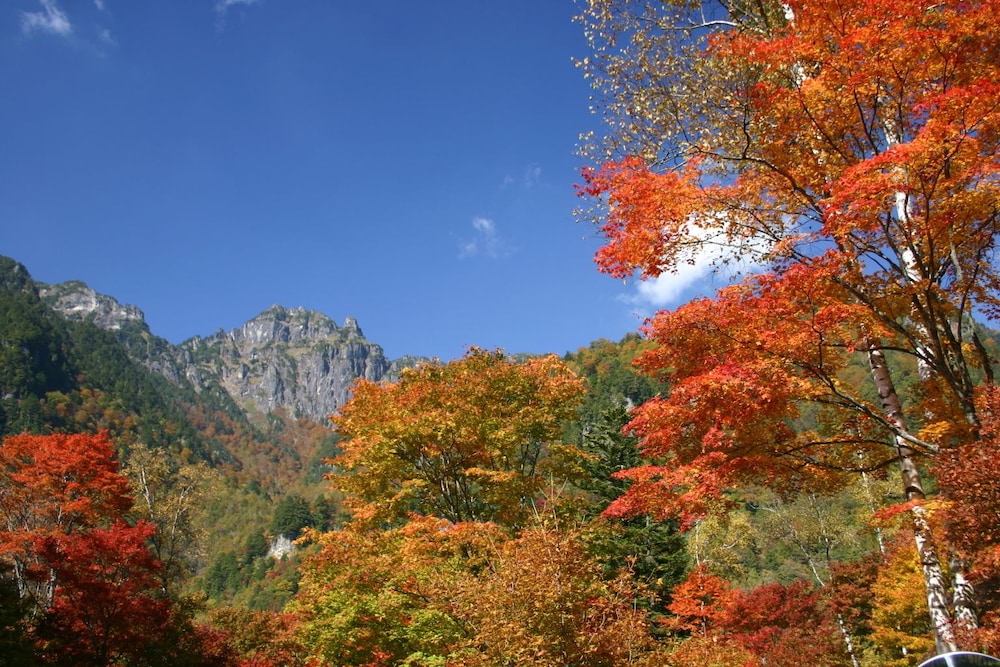 Pension HoNoMi-Tei