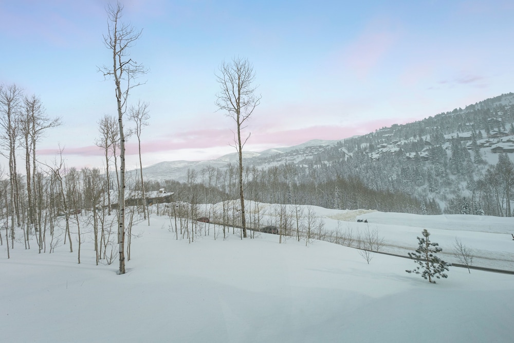 Argent at Deer Valley Resort - Three Bedroom Deluxe #205 3 Condo