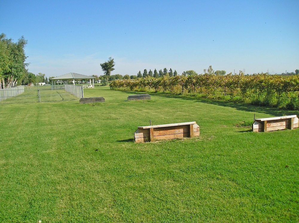 Lake Minden RV Resort-Campground - Property Image 6