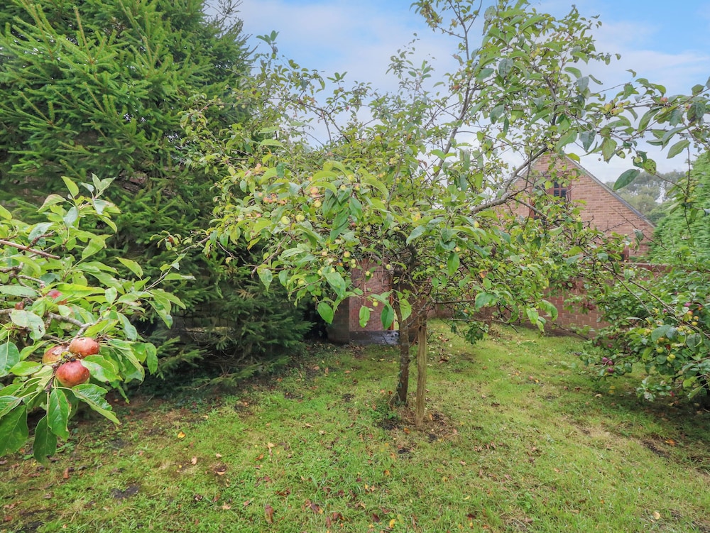 Coldharbour Farm Bungalow Annexe
