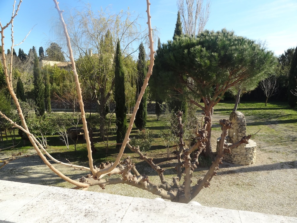 Locations des Alpilles