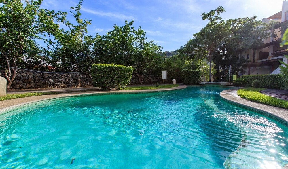 Tropical Gardens