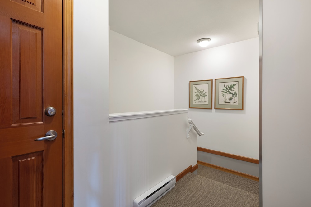 Northstar by Whiski Jack - Image 2