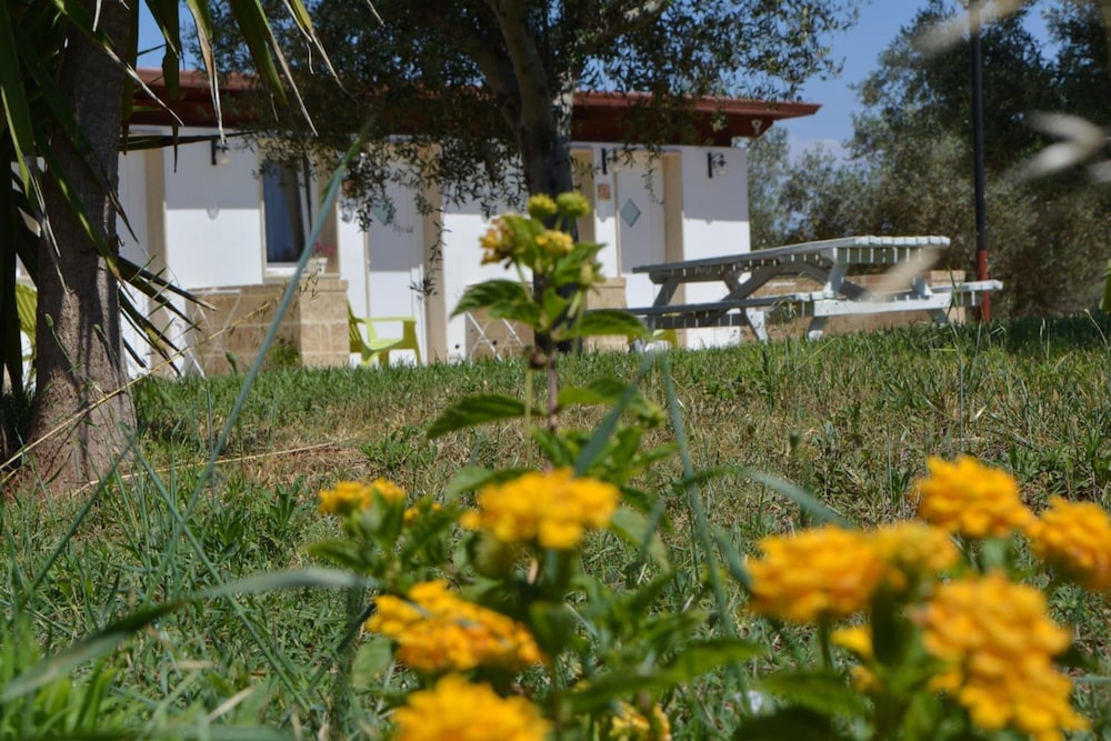 Agriturismo Terra D'Ulivi