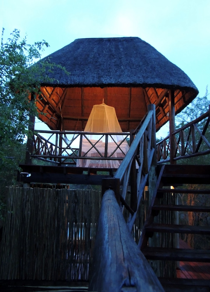 Lion Tree Bush Lodge