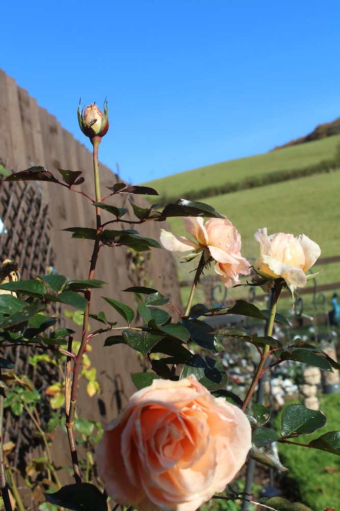 Photo 23