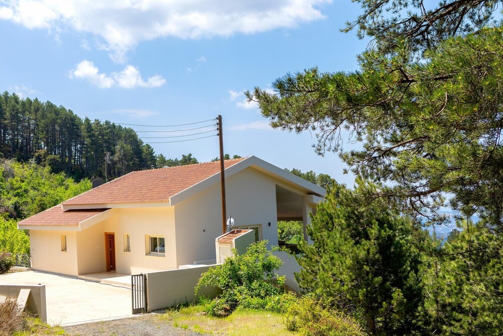 Troodos Agnantema in Limassol