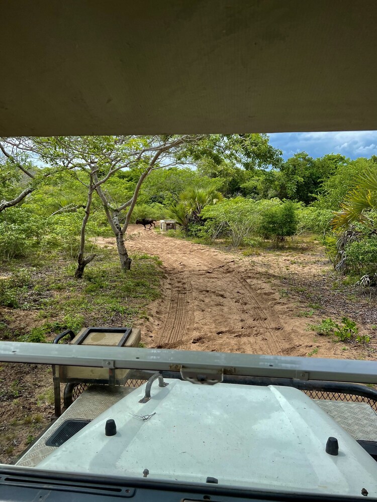 Moyeni Lodge