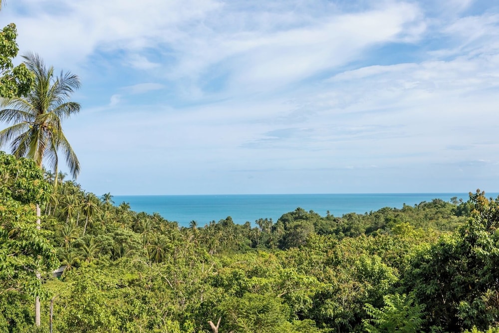 Photo 83