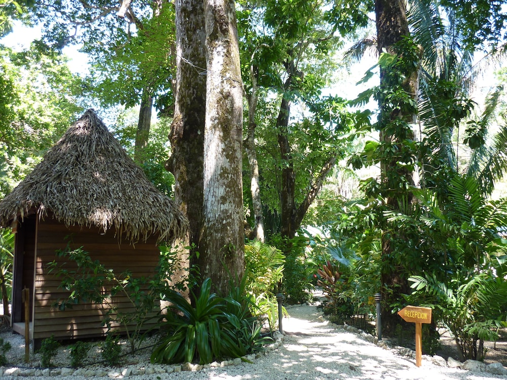 Guanacaste - Costa Rica Vacations - Hotel El Pequeno Gecko Verde - Property Image 3