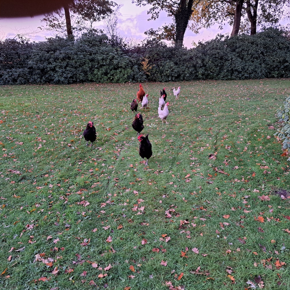Photo 15