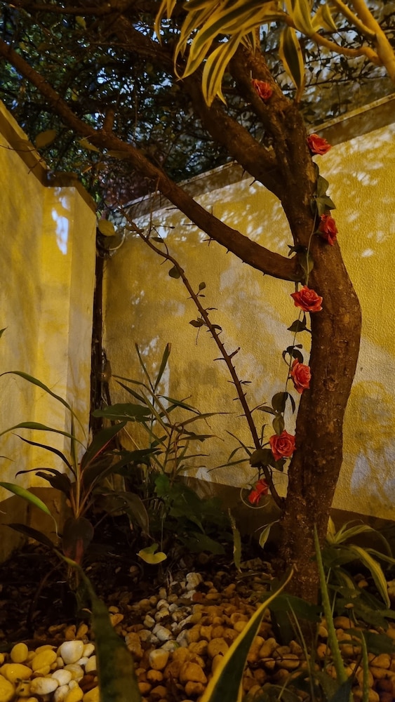 Savassi Hostel Loft