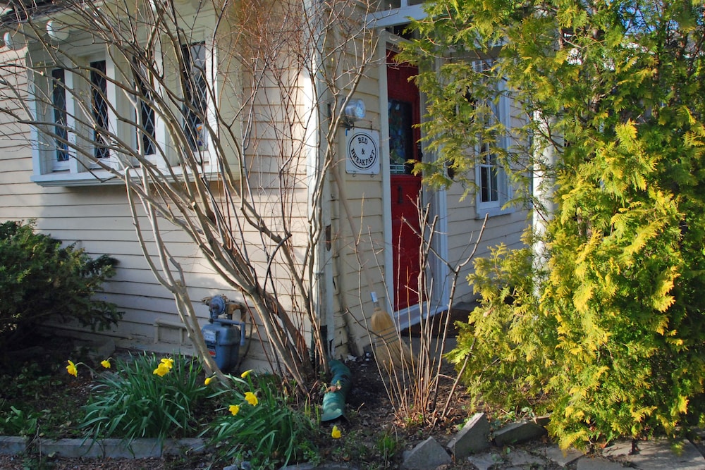 Photo 43