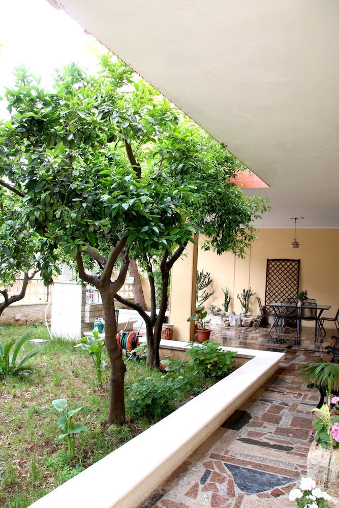 Bed and Breakfast L'Aranceto