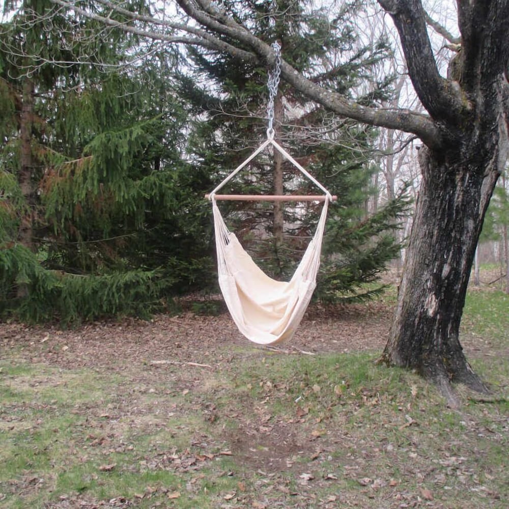 Shire In The Woods