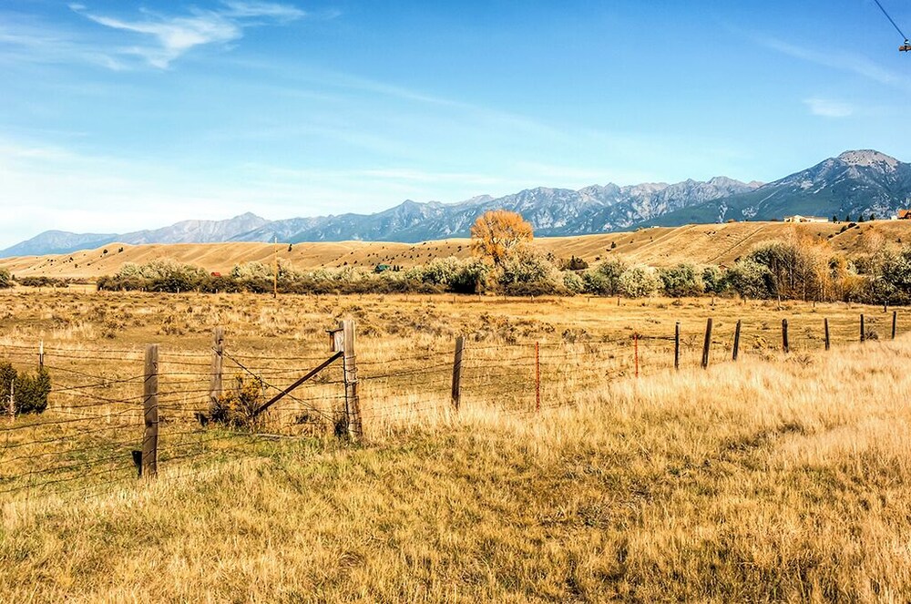Emigrant Cabin on 10 Acres w/ BBQ & Peaceful Views