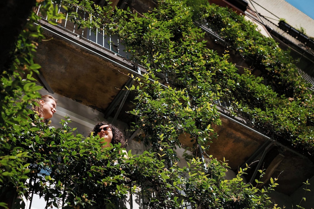 Tomato Backpackers