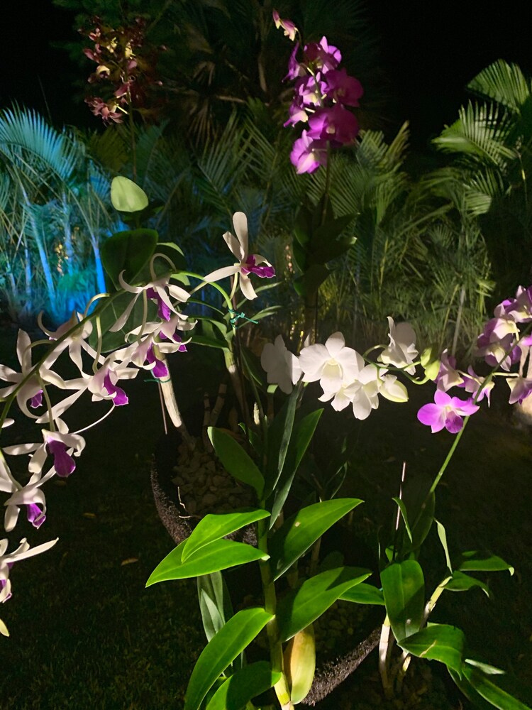 Photo 26