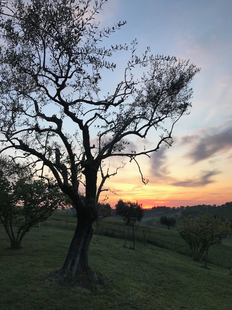 Historic House With Swimming Pool, Barbecue, gym in Senigallia - The Quercia
