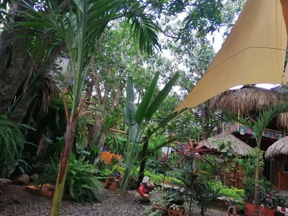 La Natura Hostel - Property Image 14