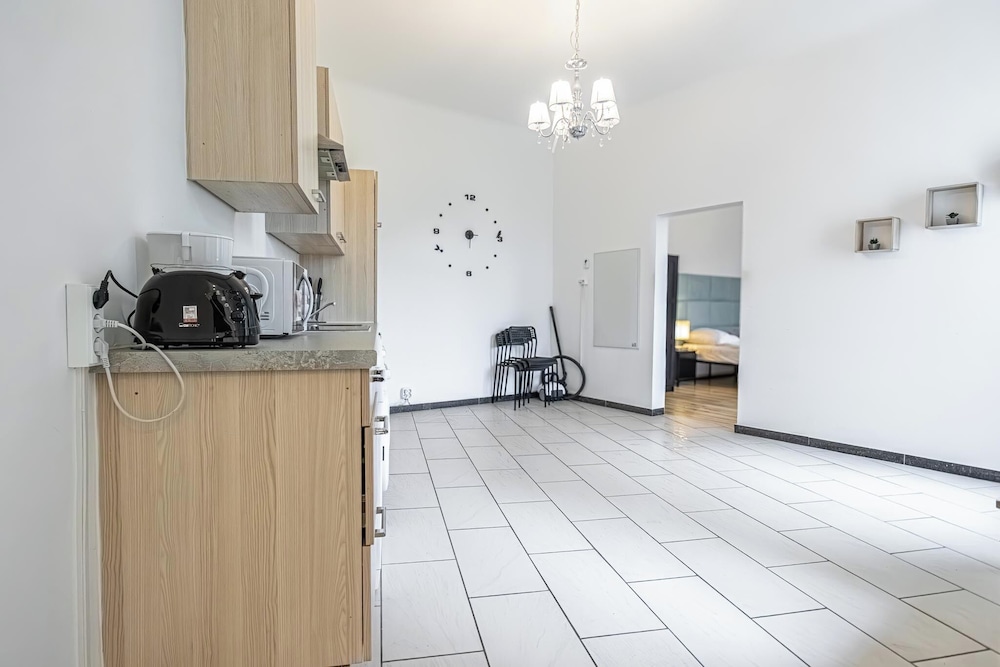 Spacious 1BR Apt Near Danube
