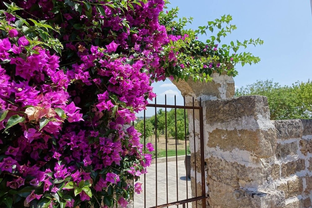 Masseria Carignani