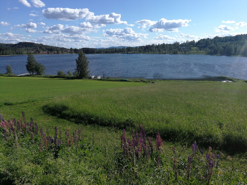 Photo 44