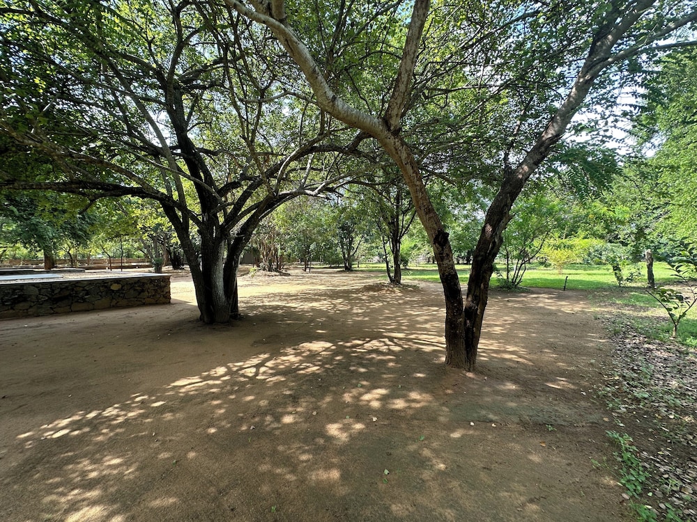 The Den at Yala