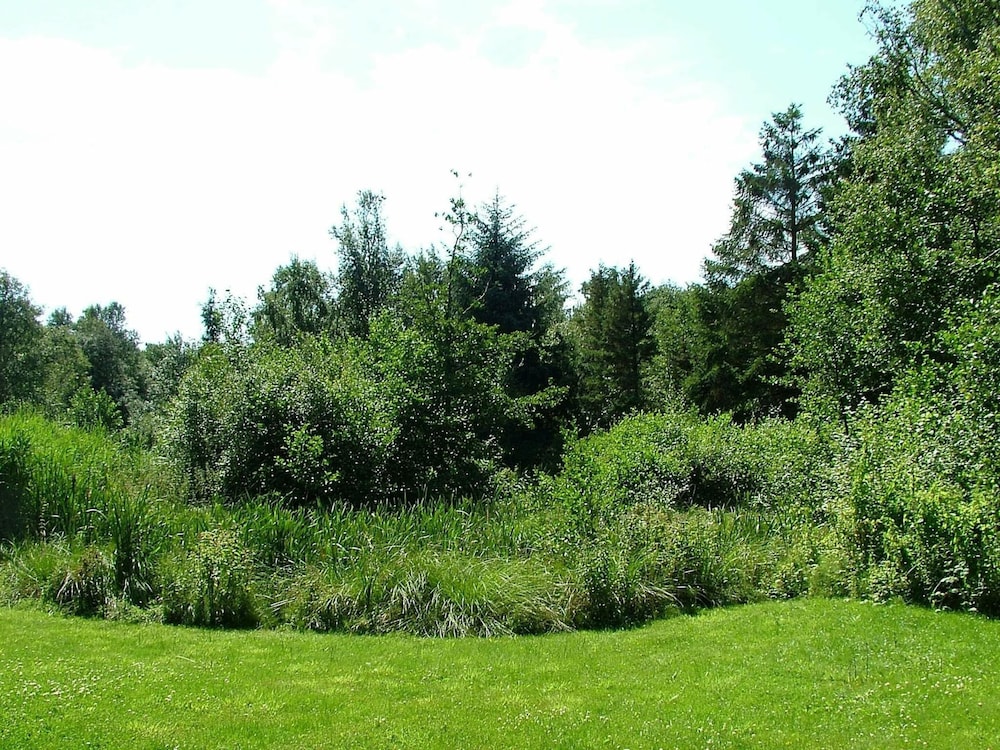 Photo 32