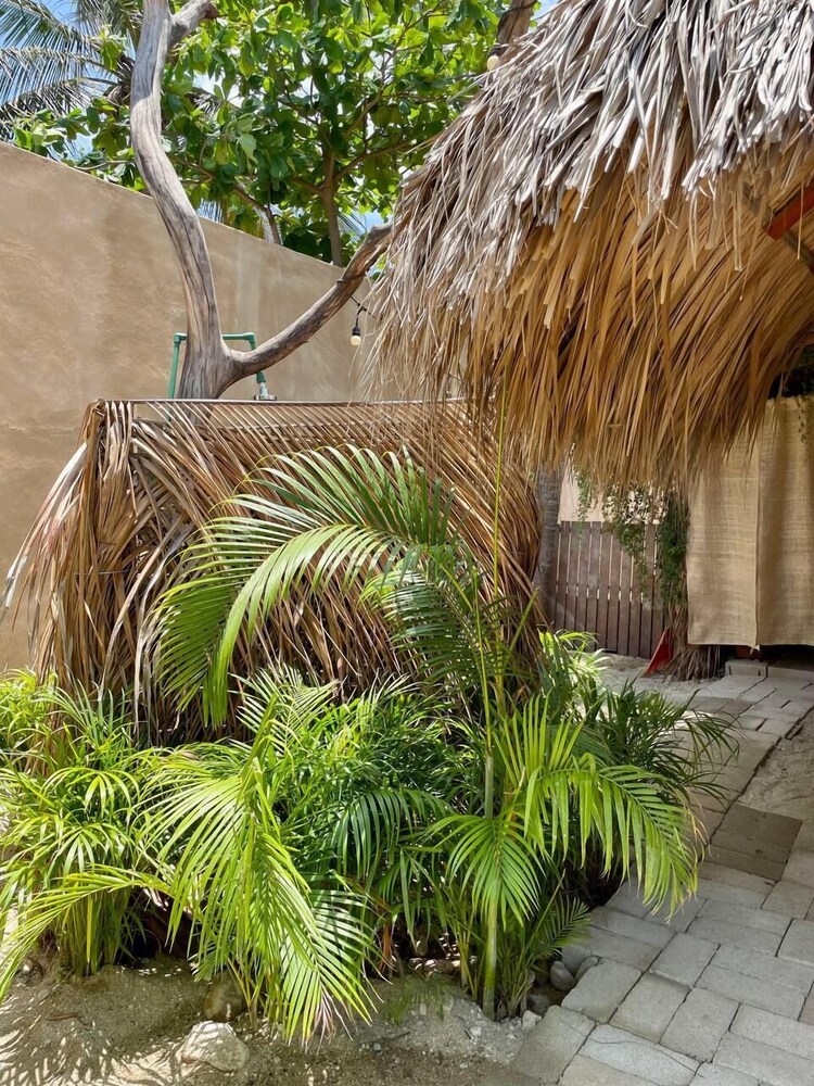 Casa Areka