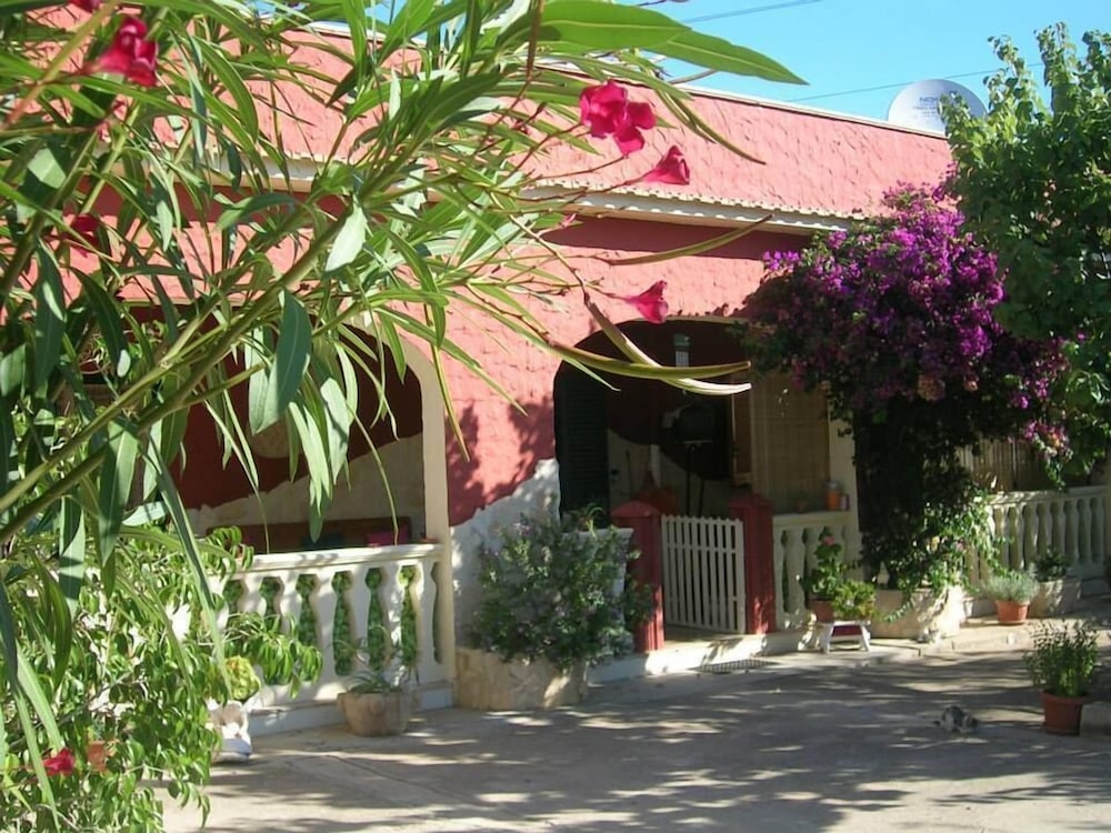 Photo 26