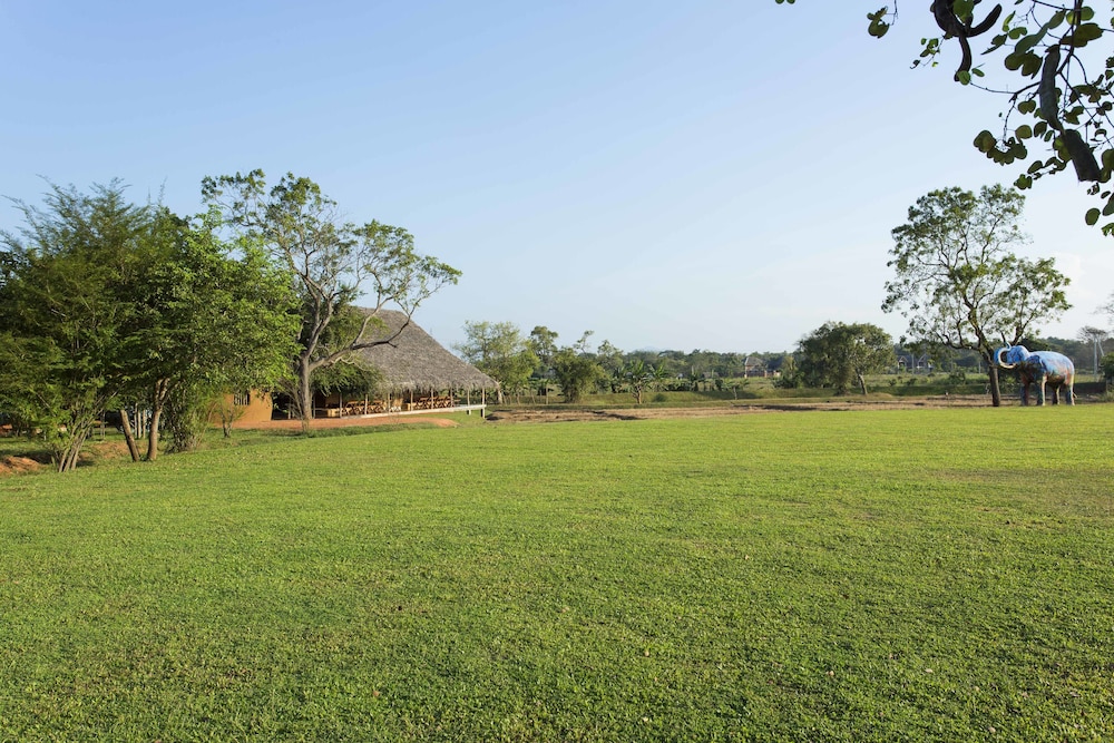 Aliya Resort & Spa