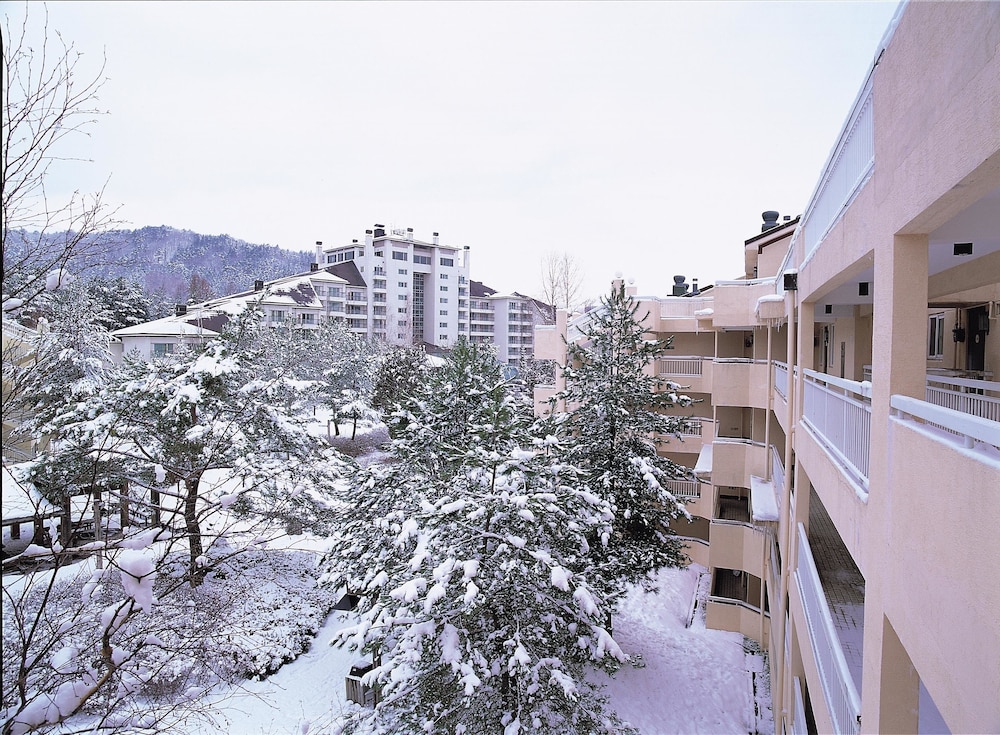Mona Yongpyong Villa Condominium
