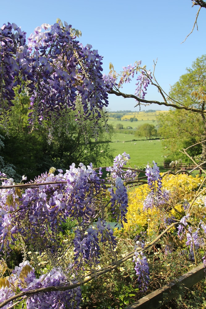 Manton Lodge Farm