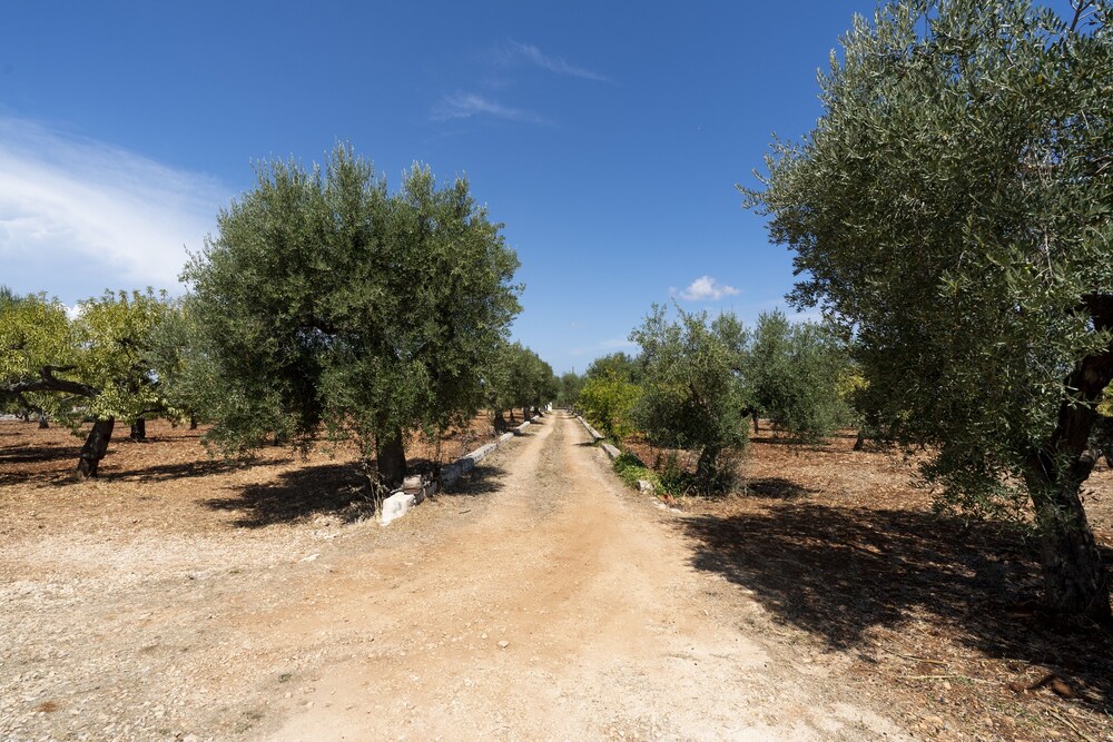 Photo 27