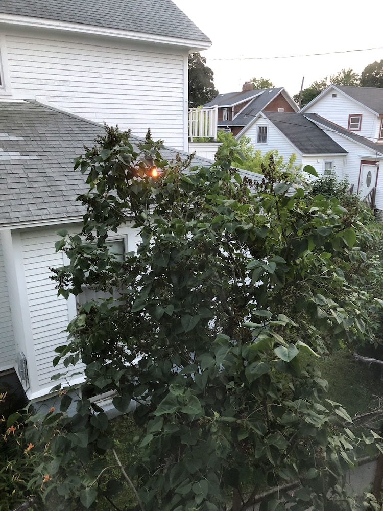 Photo 31
