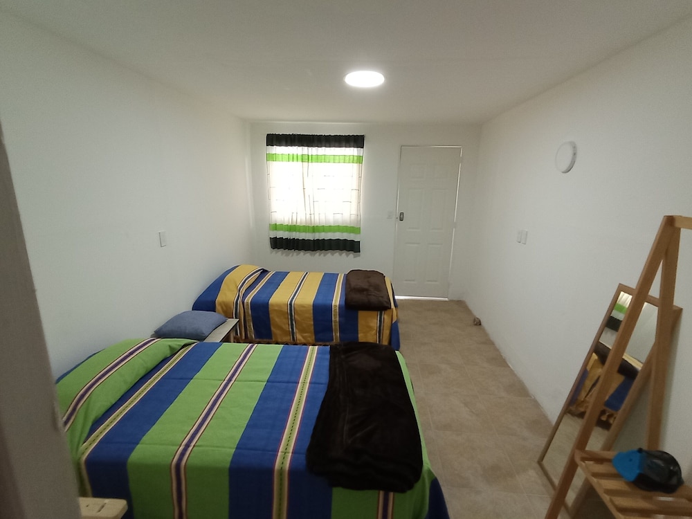 Iguana Co-living