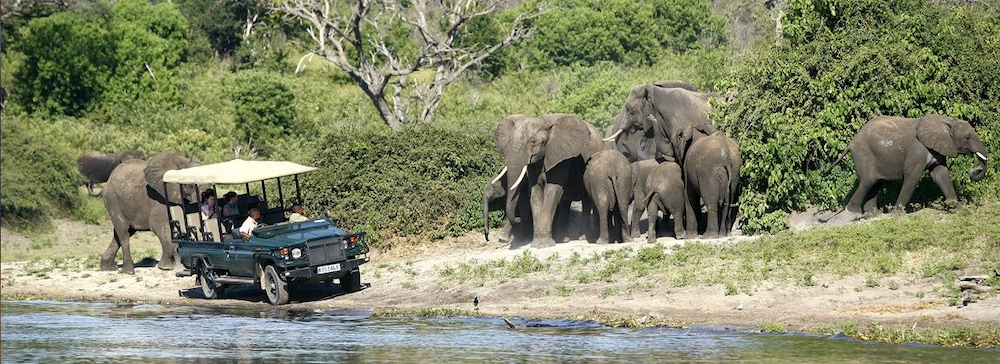 Tongabezi Lodge