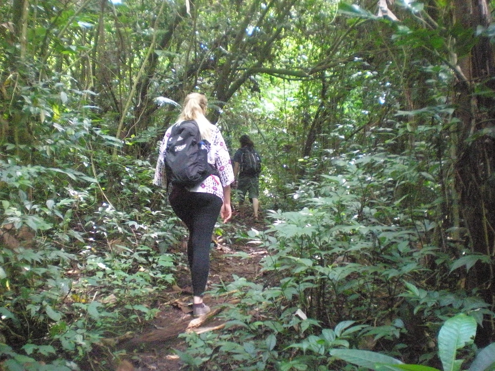 Tepi Sawah Lodge