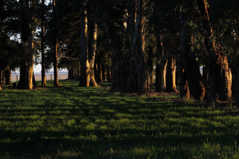 Estancia Argentina La Armonia