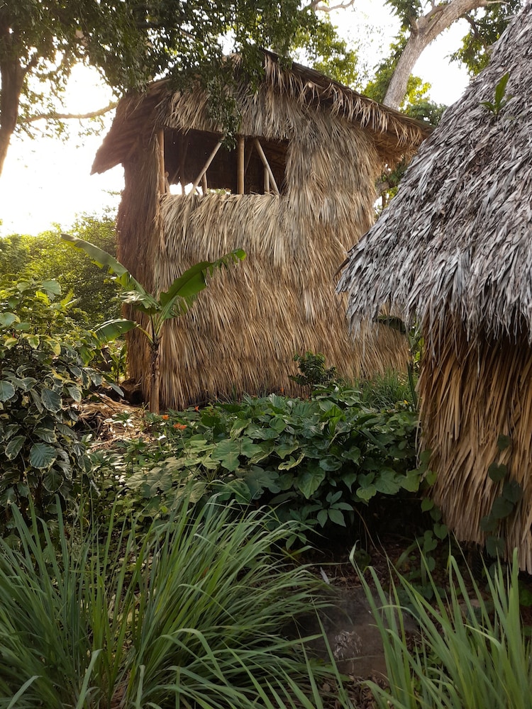 Cabañas El Bamboo
