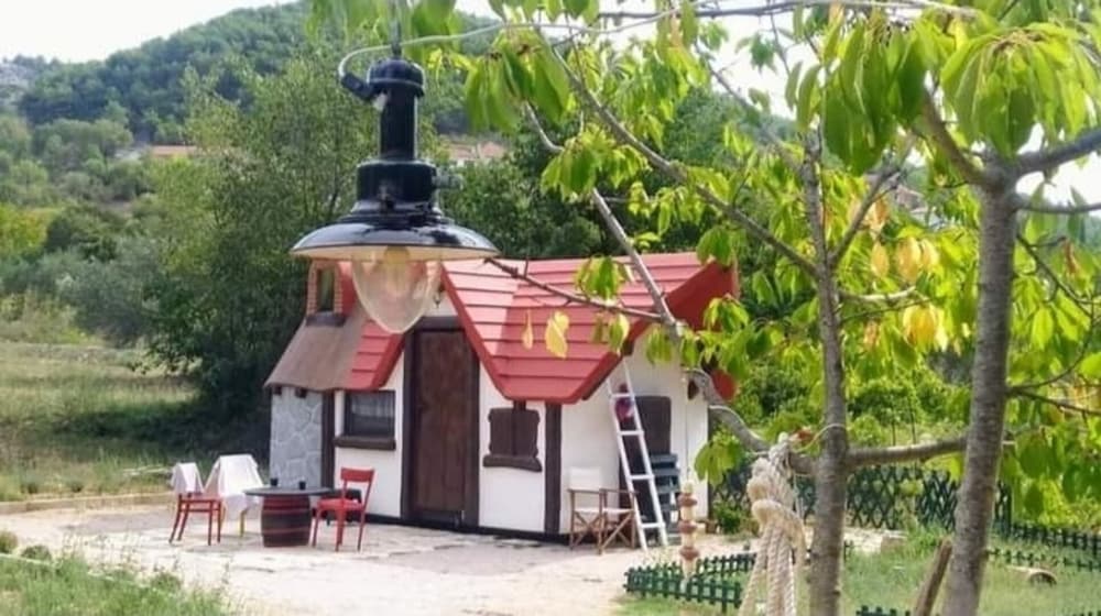 Photo 11